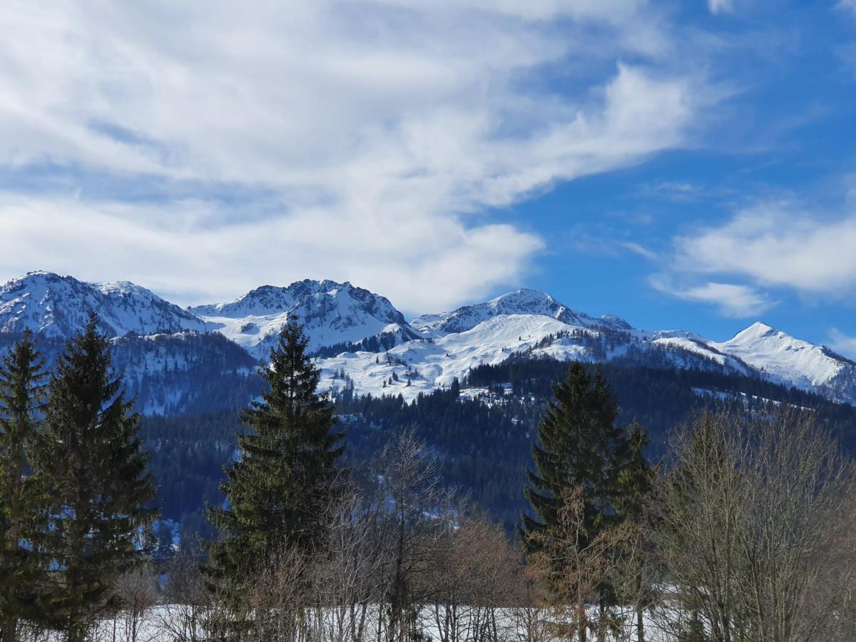 Ferienwohnung App. Mountain View Fieberbrunn Buitenkant foto