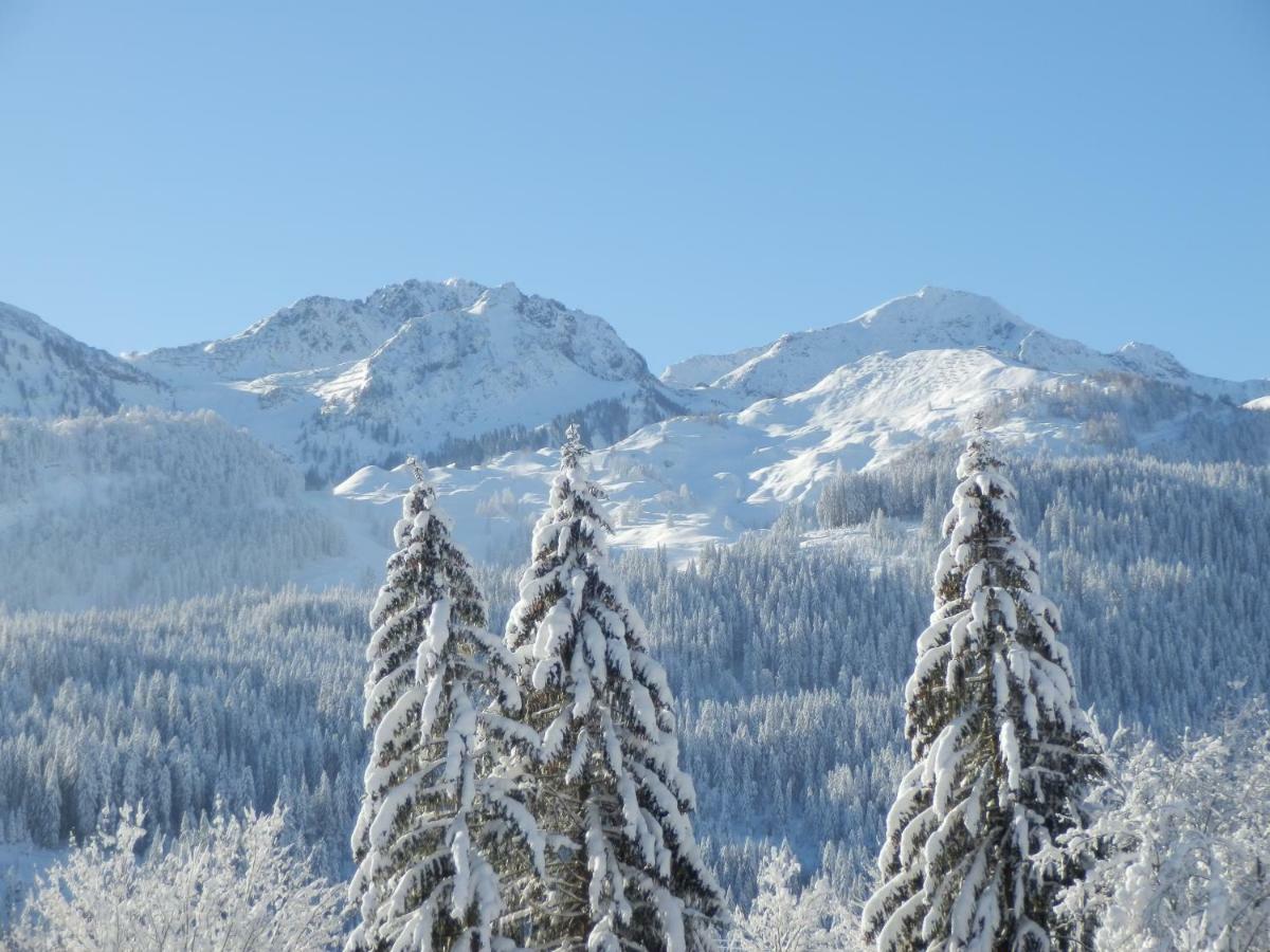 Ferienwohnung App. Mountain View Fieberbrunn Buitenkant foto