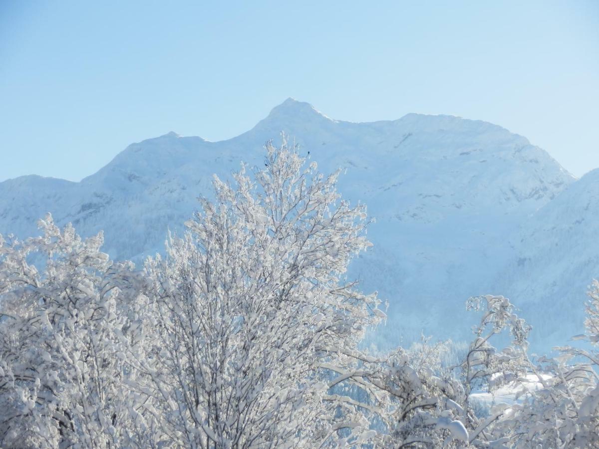 Ferienwohnung App. Mountain View Fieberbrunn Buitenkant foto
